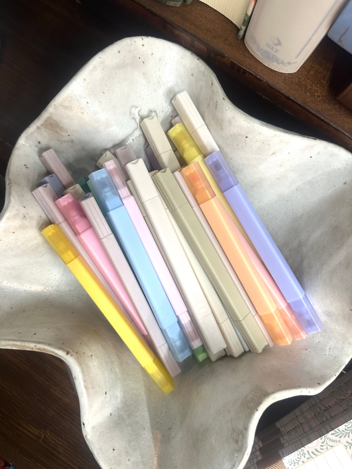 Single Bible Highlighter/Pen