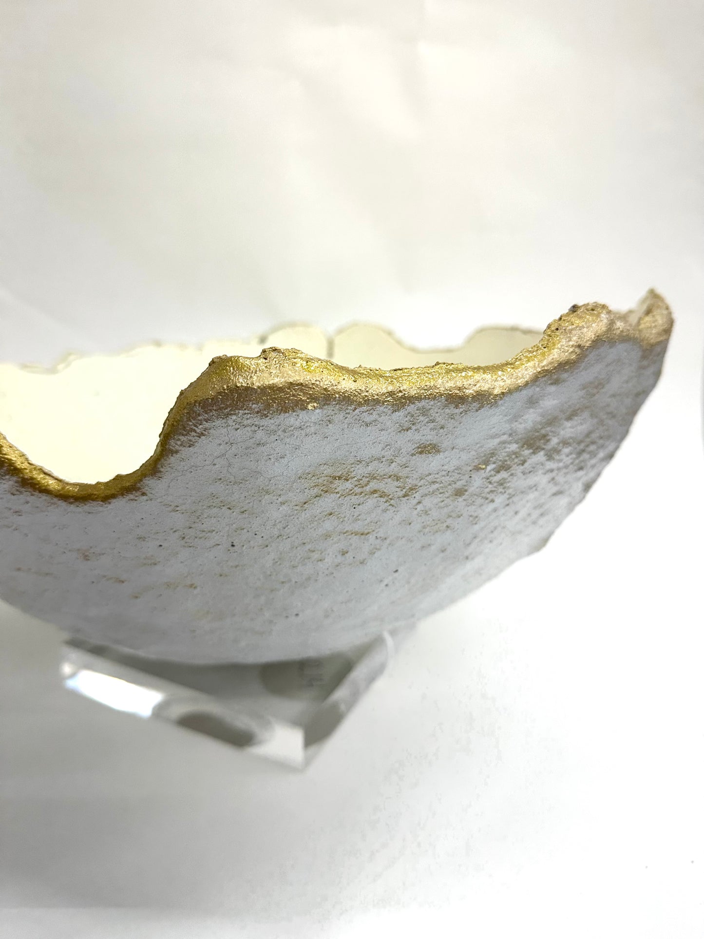 Deep Bowl with Acrylic Bottom