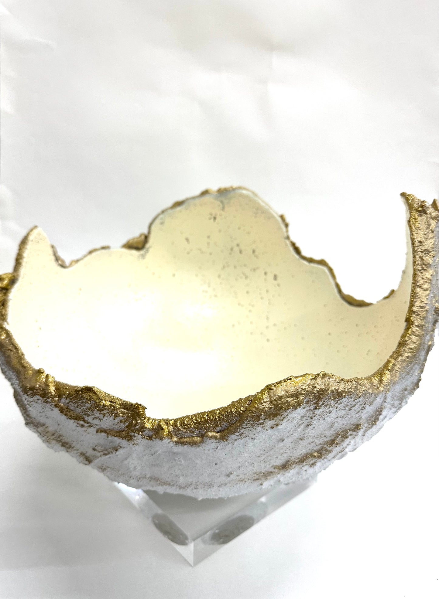 Deep Bowl with Acrylic Bottom