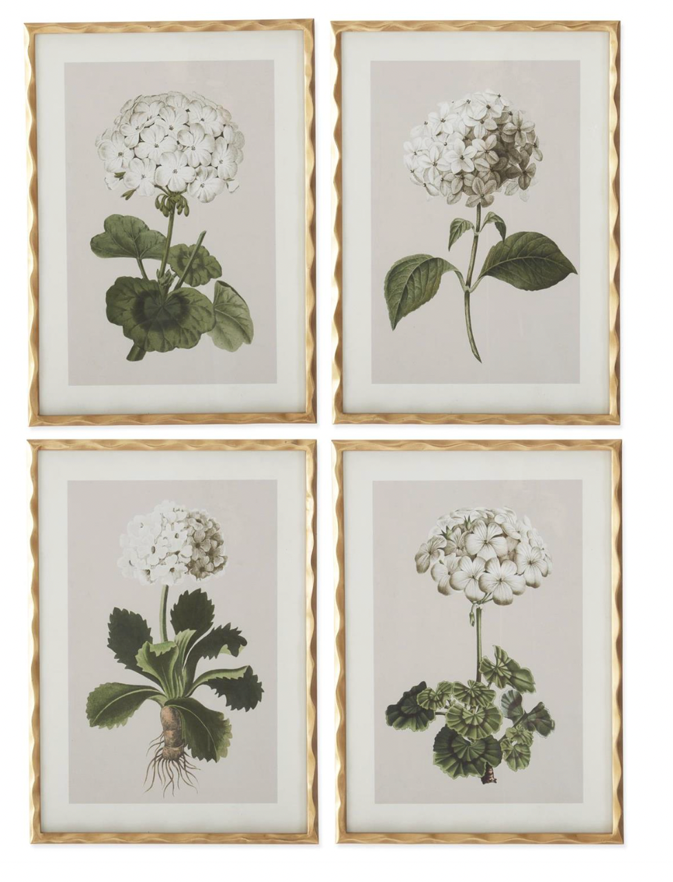 27.5" Gold Ornate Wood Framed White Floral Prints