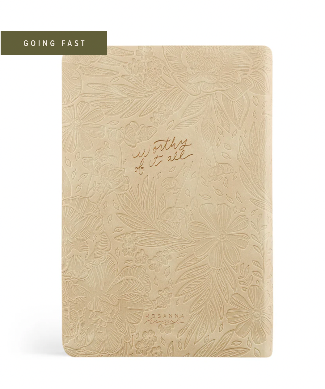 NLT Compact BIble: Sonora Theme