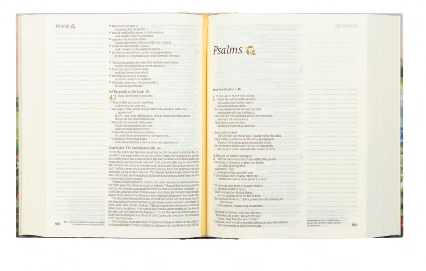 NLT Notetaking Bible: Coram Theme