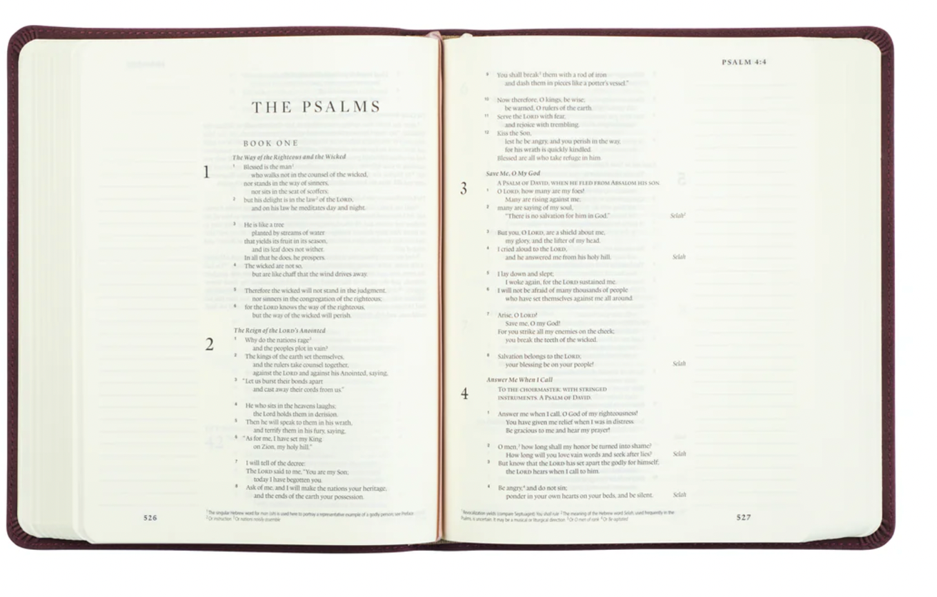 ESV Journaling Bible: Helena Theme