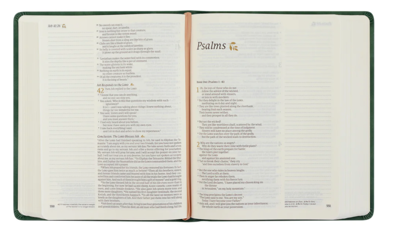 NLT Notetaking Bible : Summerside Theme