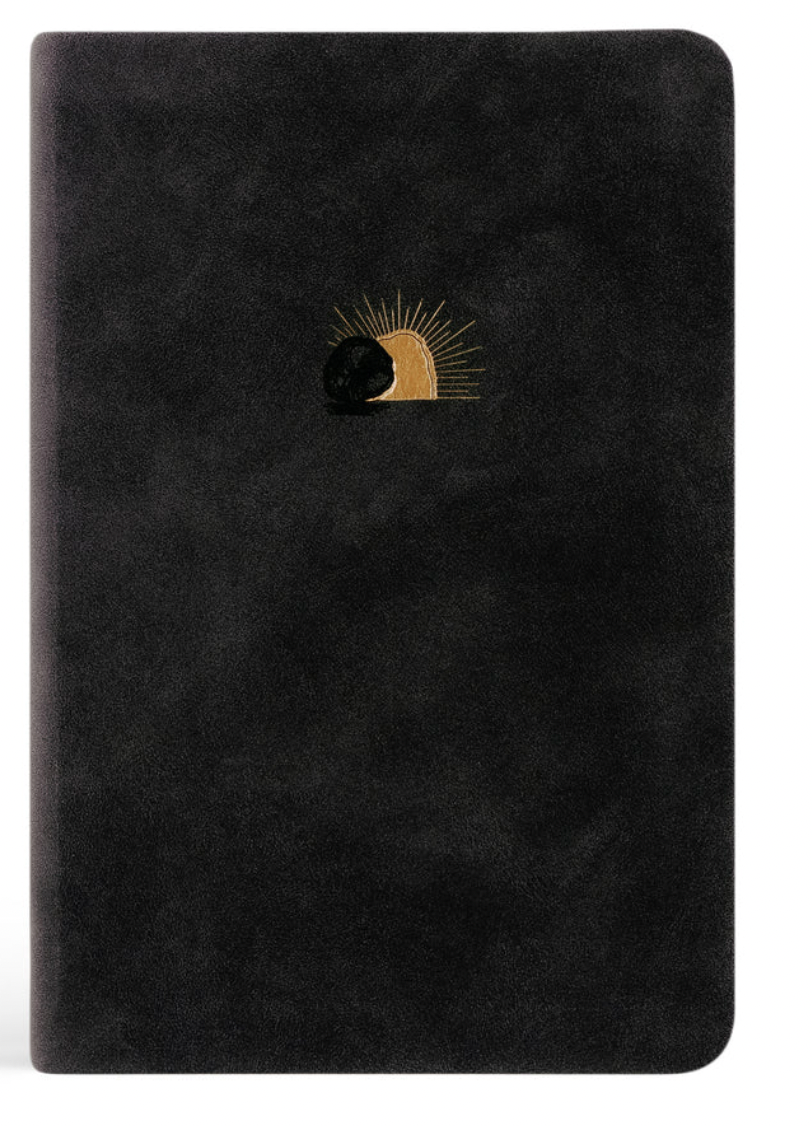 NLT Compact Bible: Jerusalem Theme