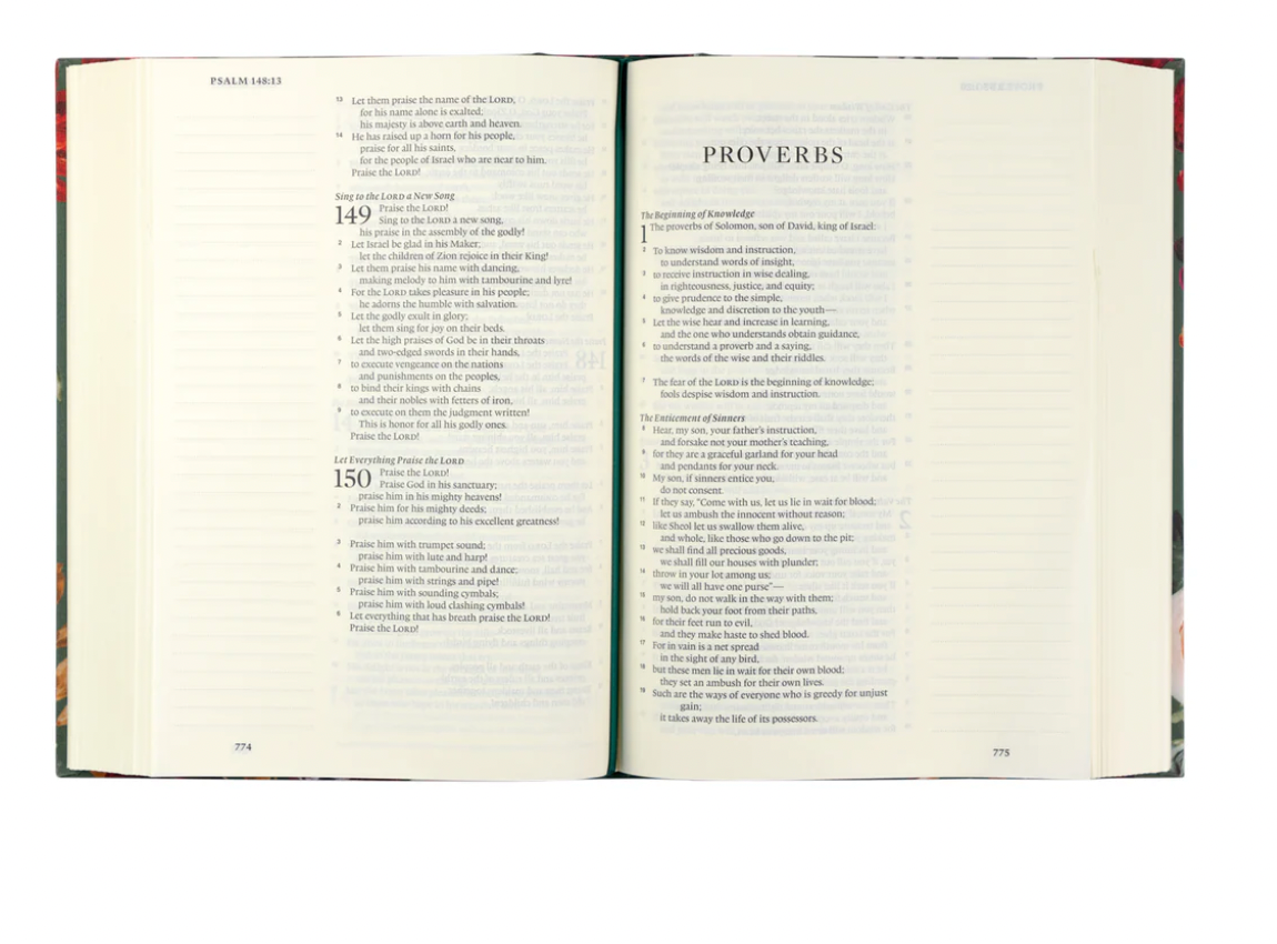 ESV Large Print Journaling Bible : Hollis Theme