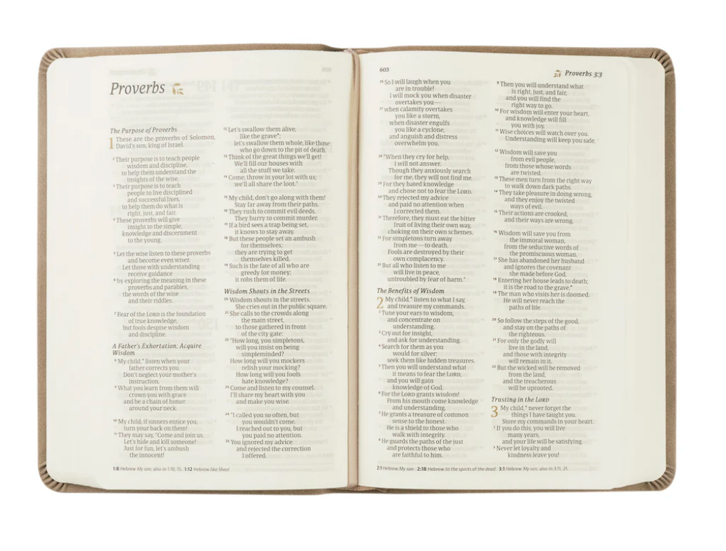NLT Compact Bible: Marlo Theme