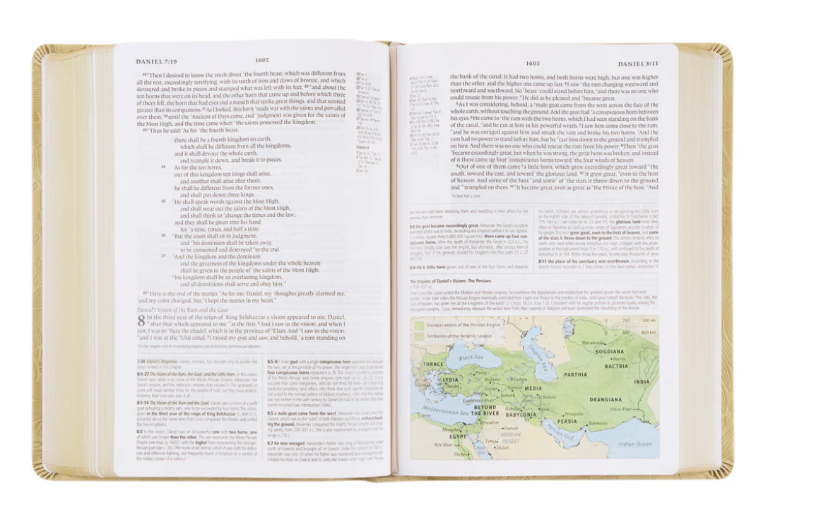 ESV Study Bible: Sonora Theme