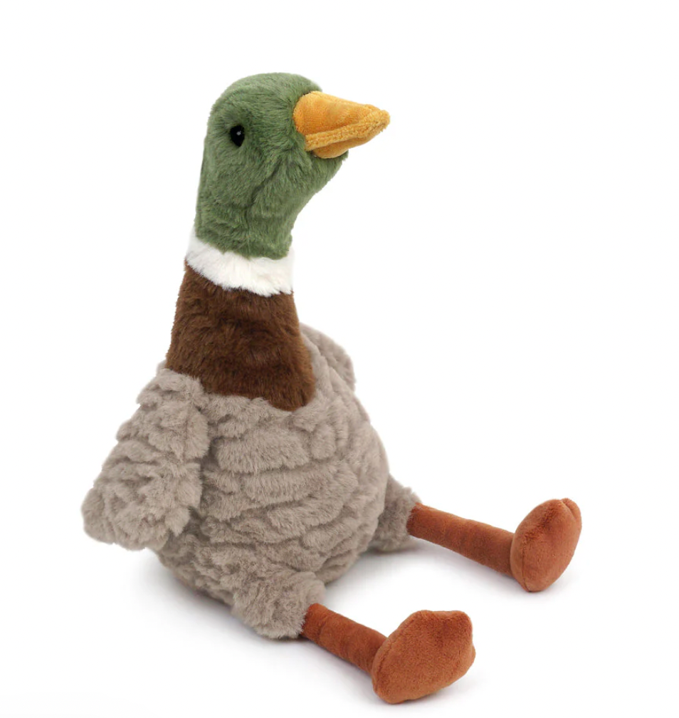 River Mallard Duck