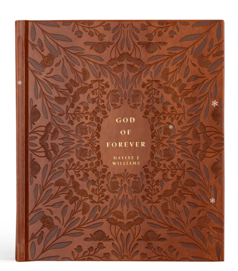 God of Forever by Haylee Williams