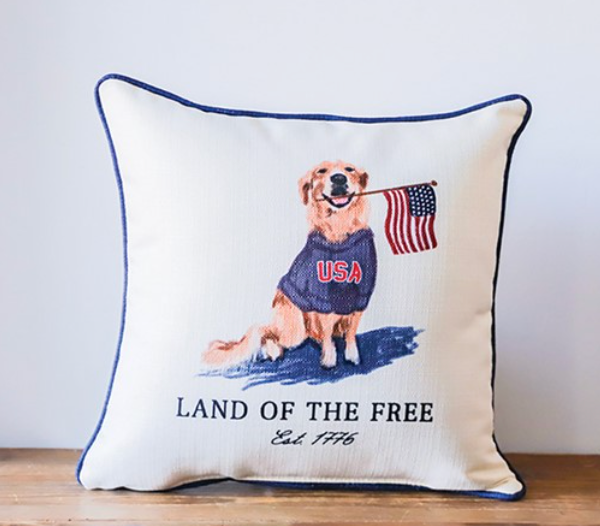 Land of the Free Golden Painted Pillow