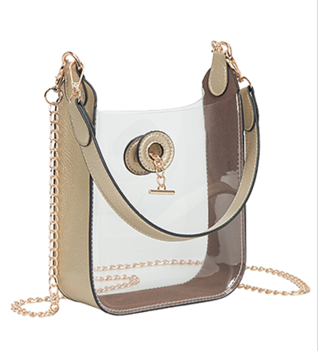 Rectangle Mini Clear Crossbody Bag