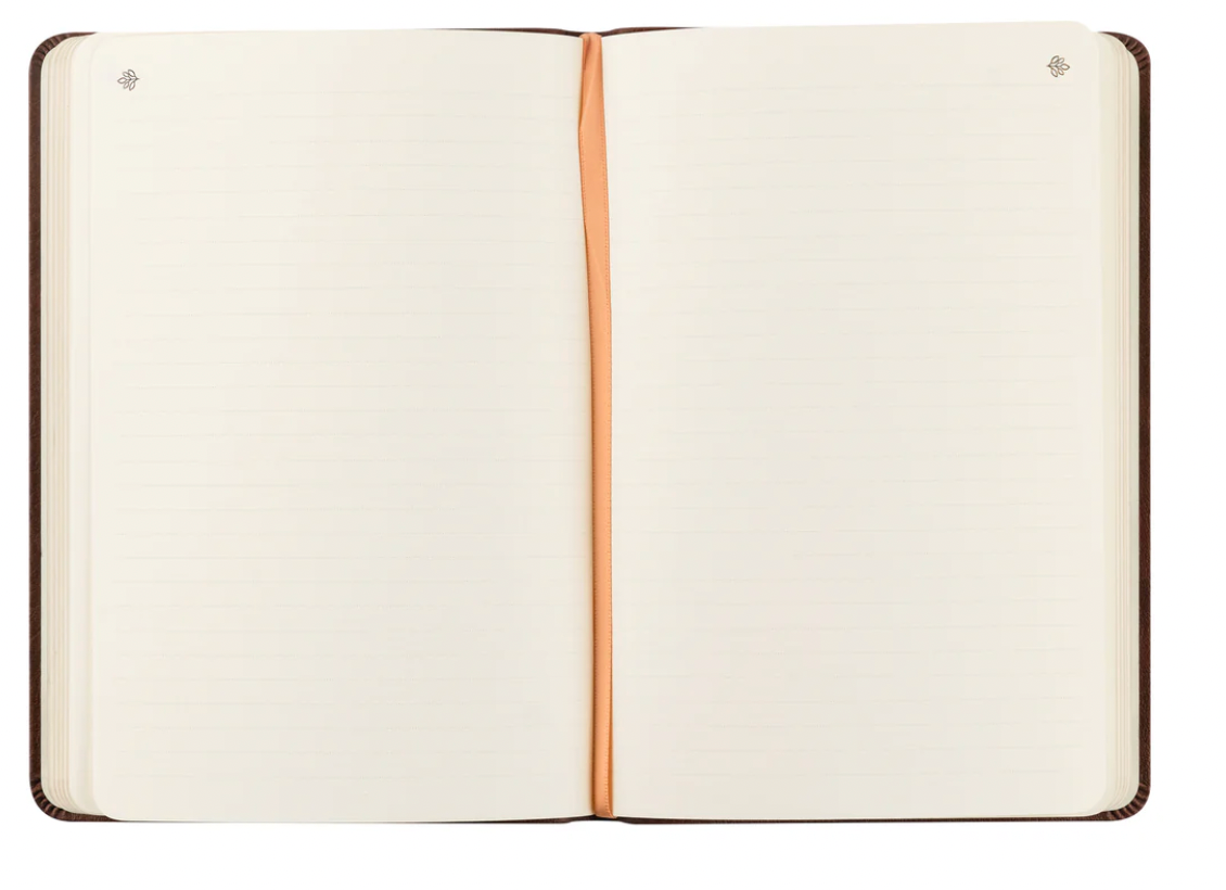 Notebook: Palma Theme