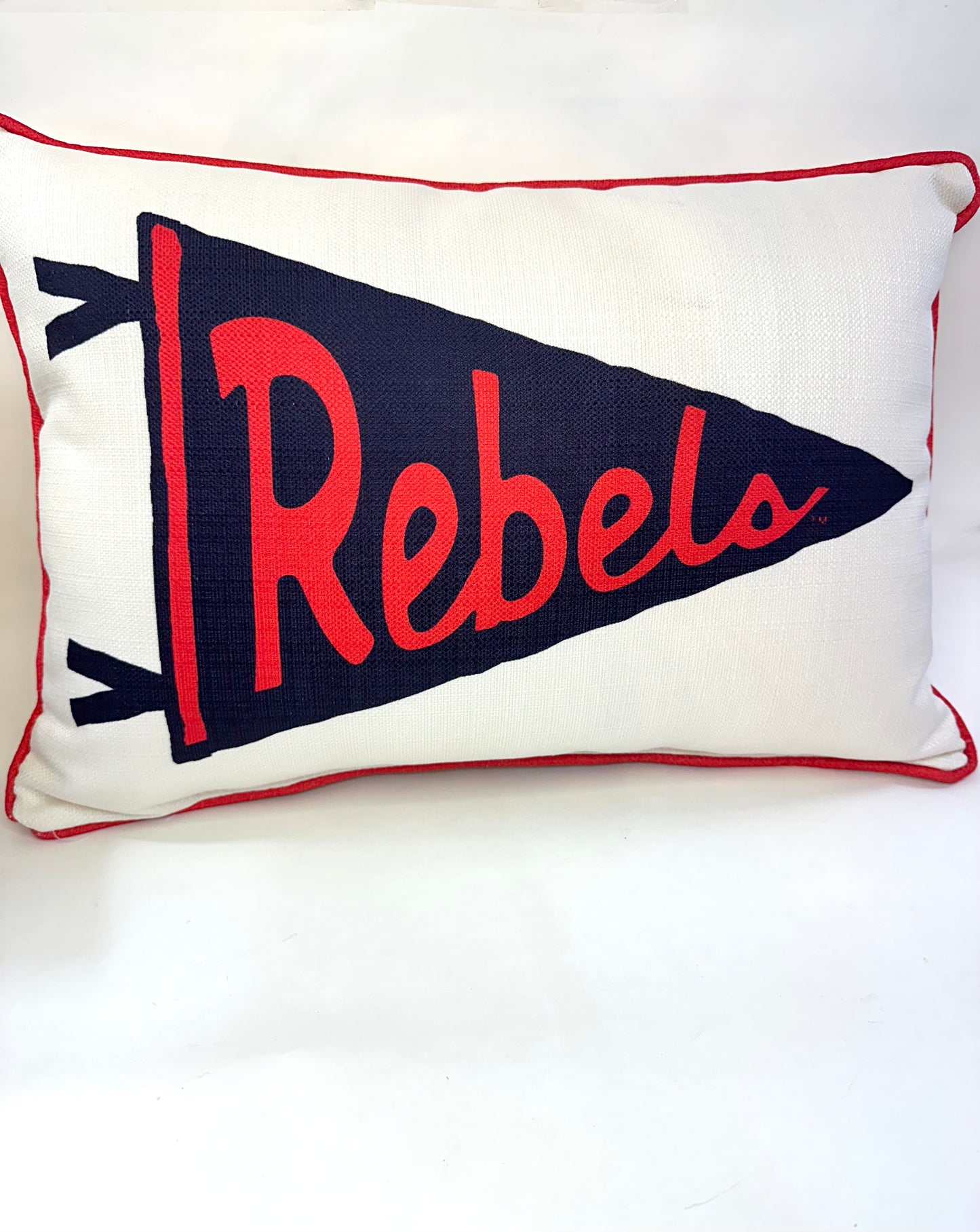 Rebels Pennant Pillow