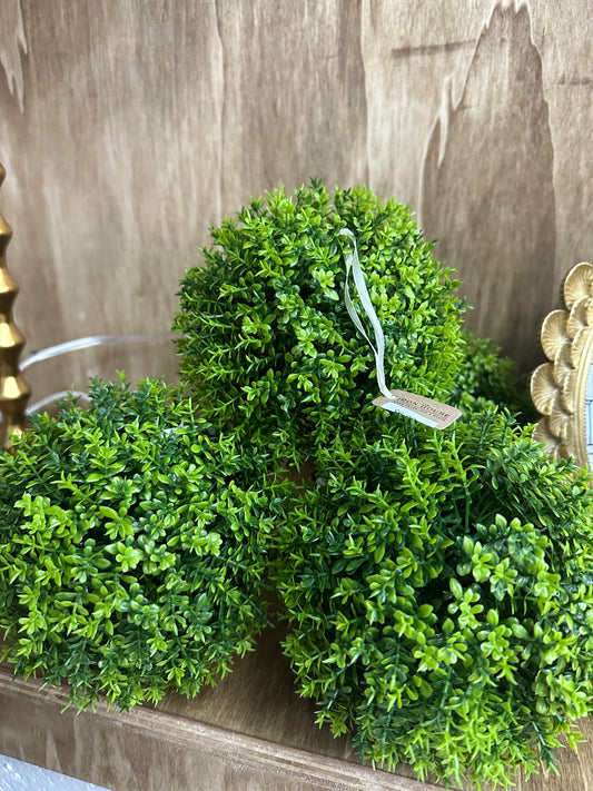 5" Thyme Moss Balls