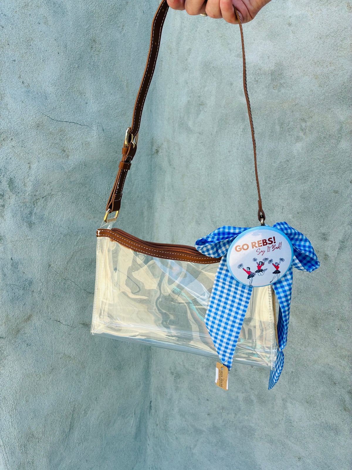Clear Stadium Hobo Bag