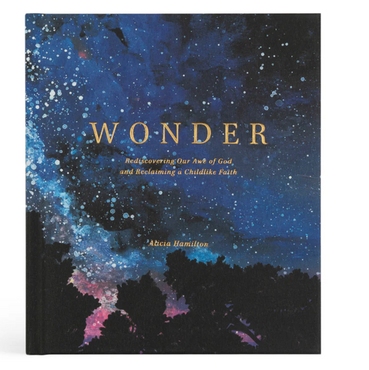 Wonder by Alicia Hamilton