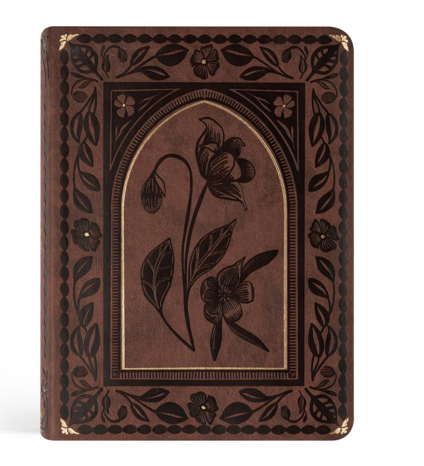 ESV Journaling Bible: Palma Theme