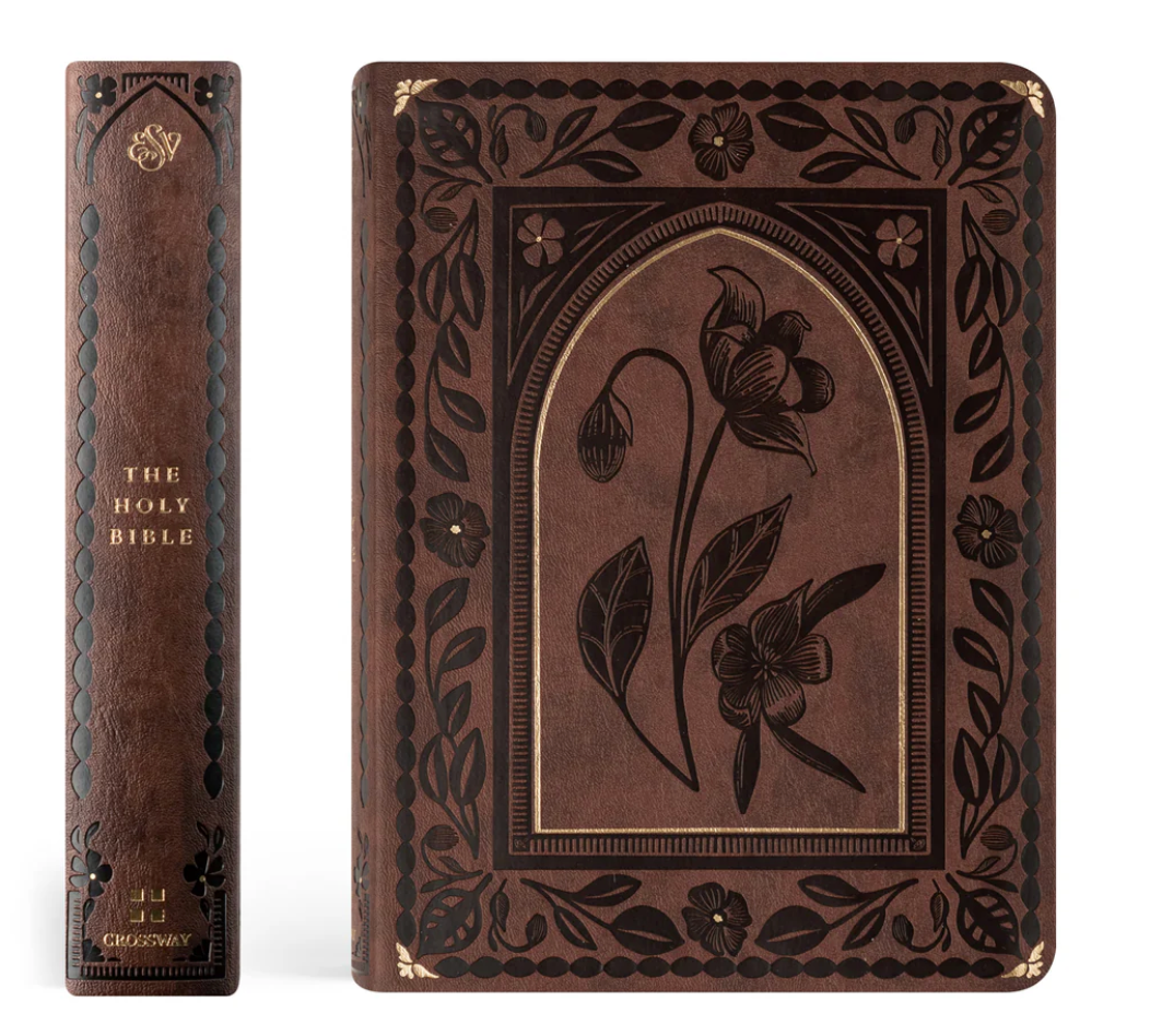 ESV Journaling Bible: Palma Theme