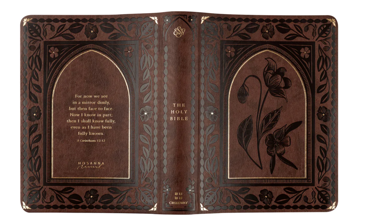 ESV Journaling Bible: Palma Theme