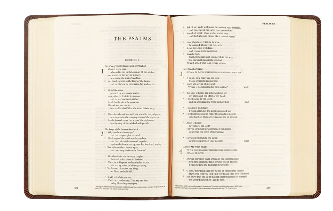 ESV Journaling Bible: Palma Theme