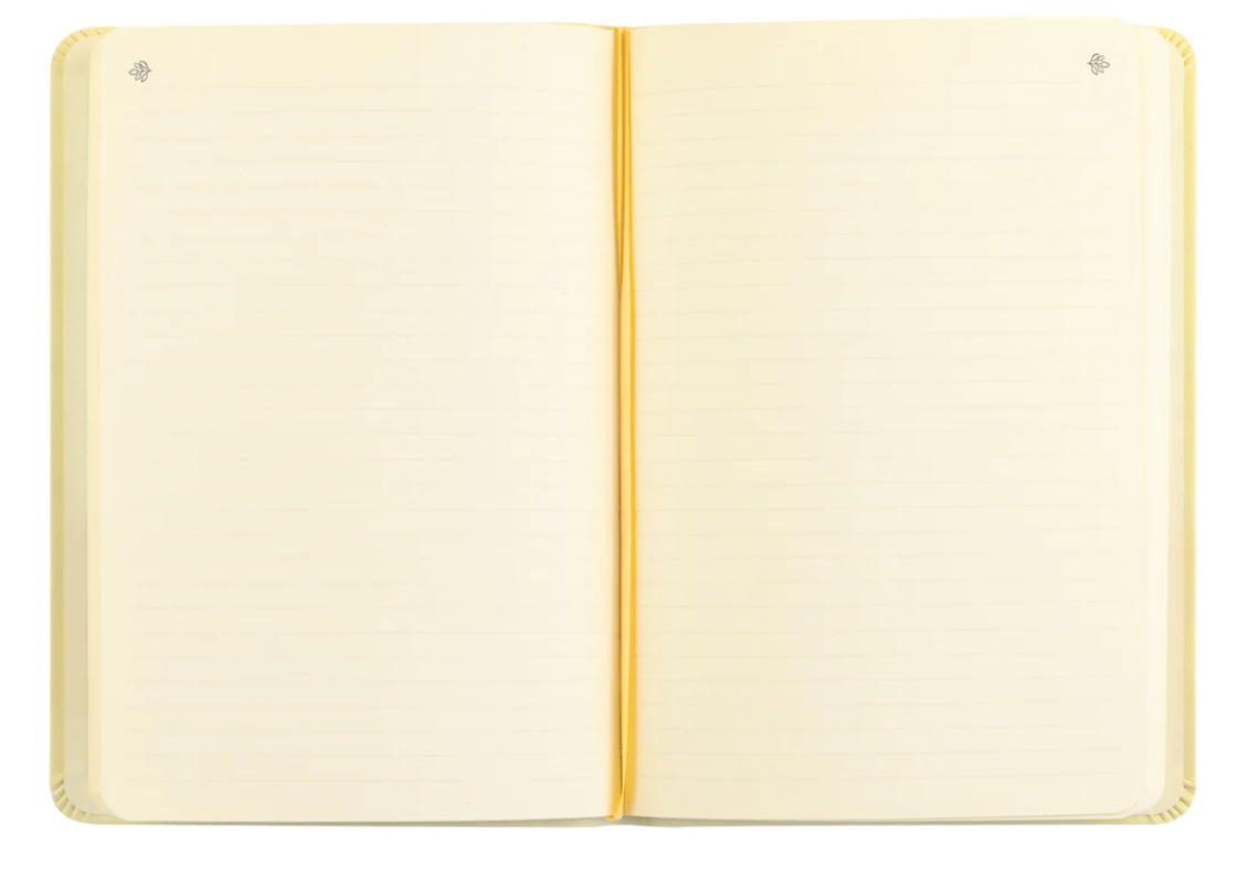 Notebook: Belfast Theme