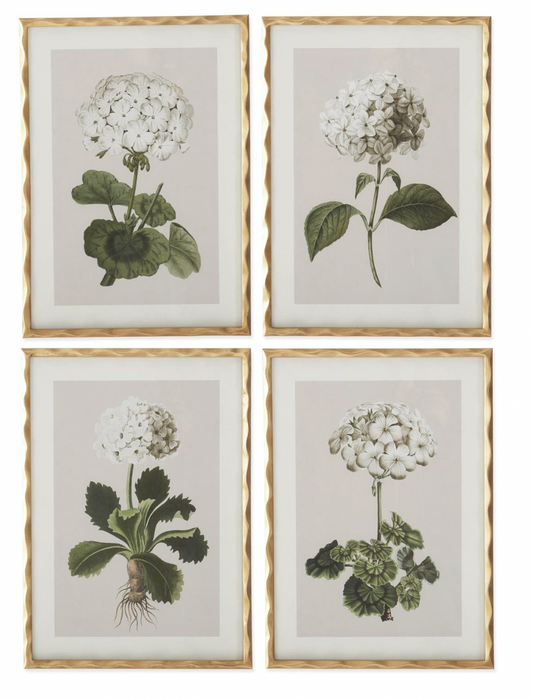 27.5" Gold Ornate Wood Framed White Floral Prints