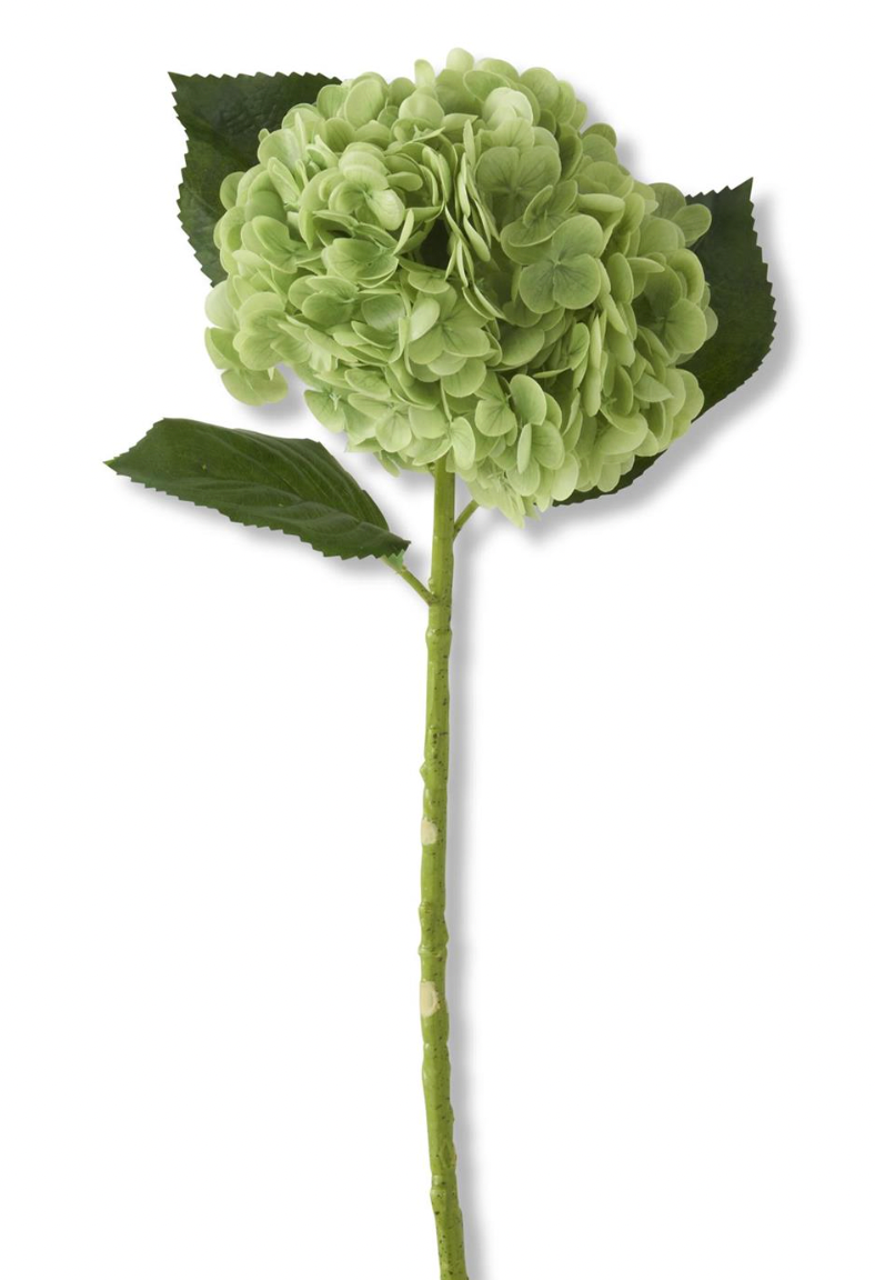 20" Green Real Touch Hydrangea Stem