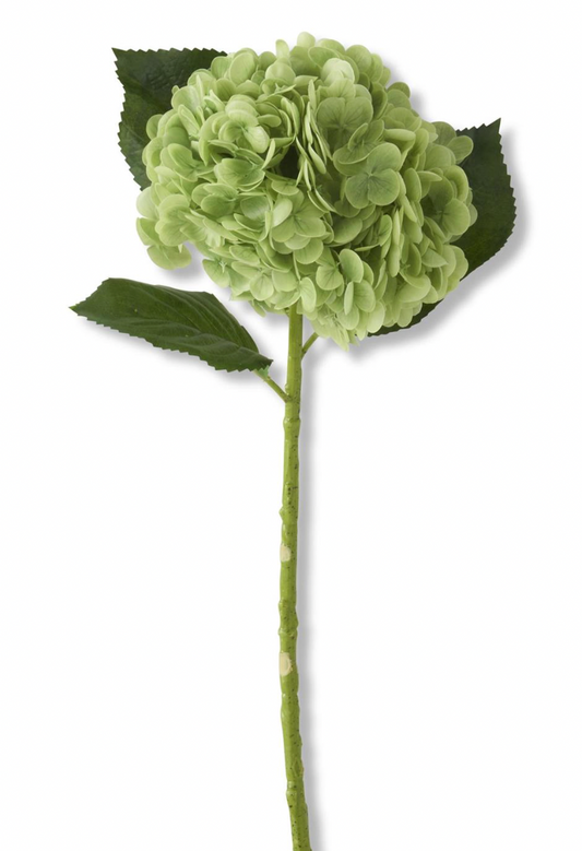 20" Green Real Touch Hydrangea Stem