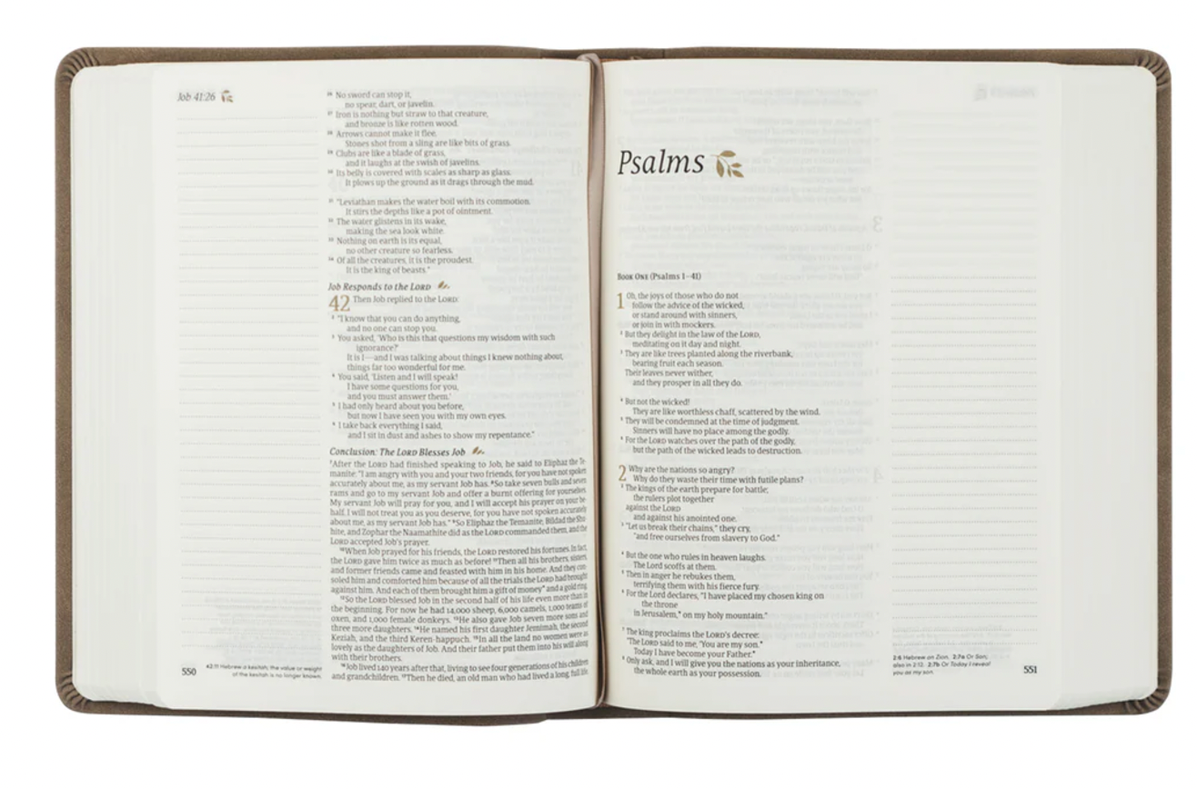 NLT Notetaking Bible: Marlo Theme