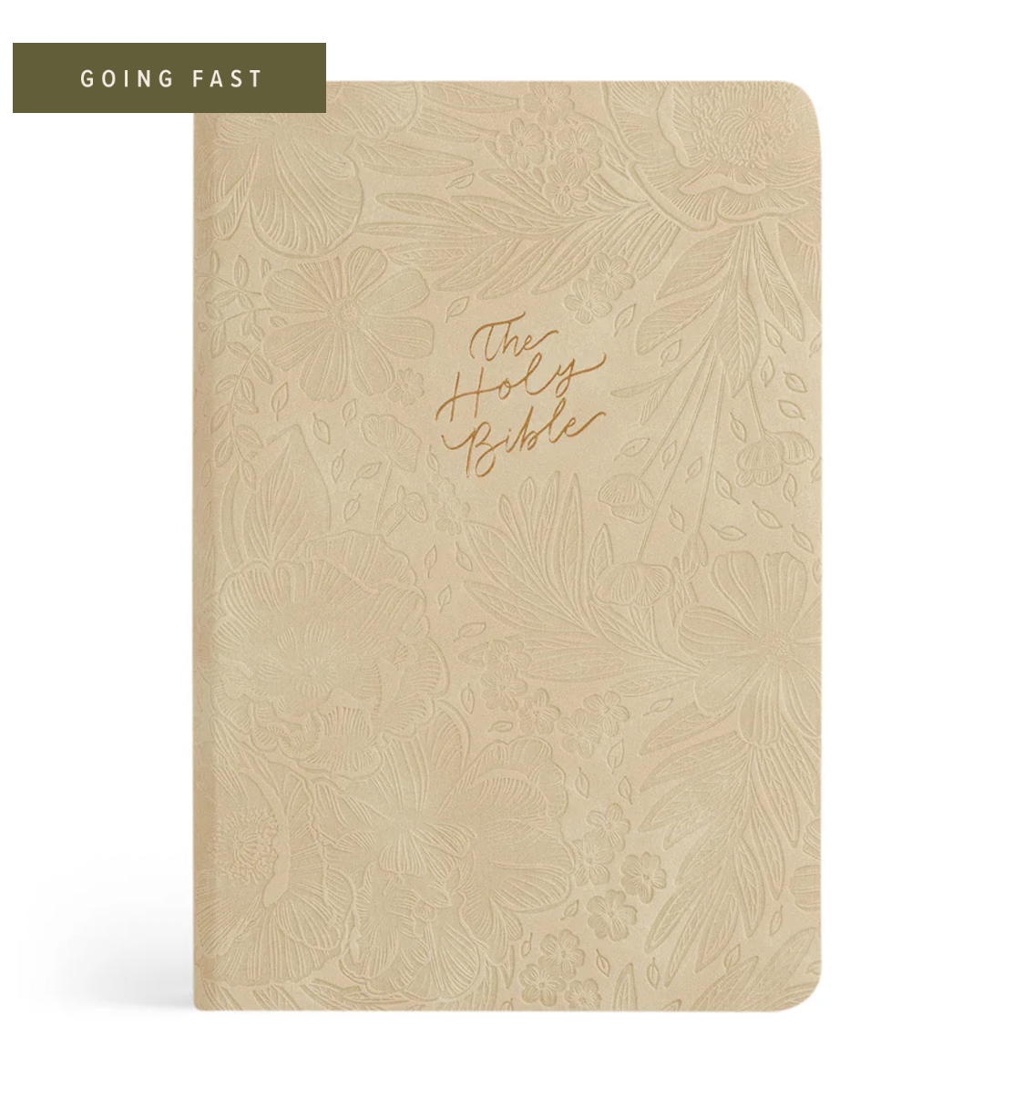 NLT Compact BIble: Sonora Theme