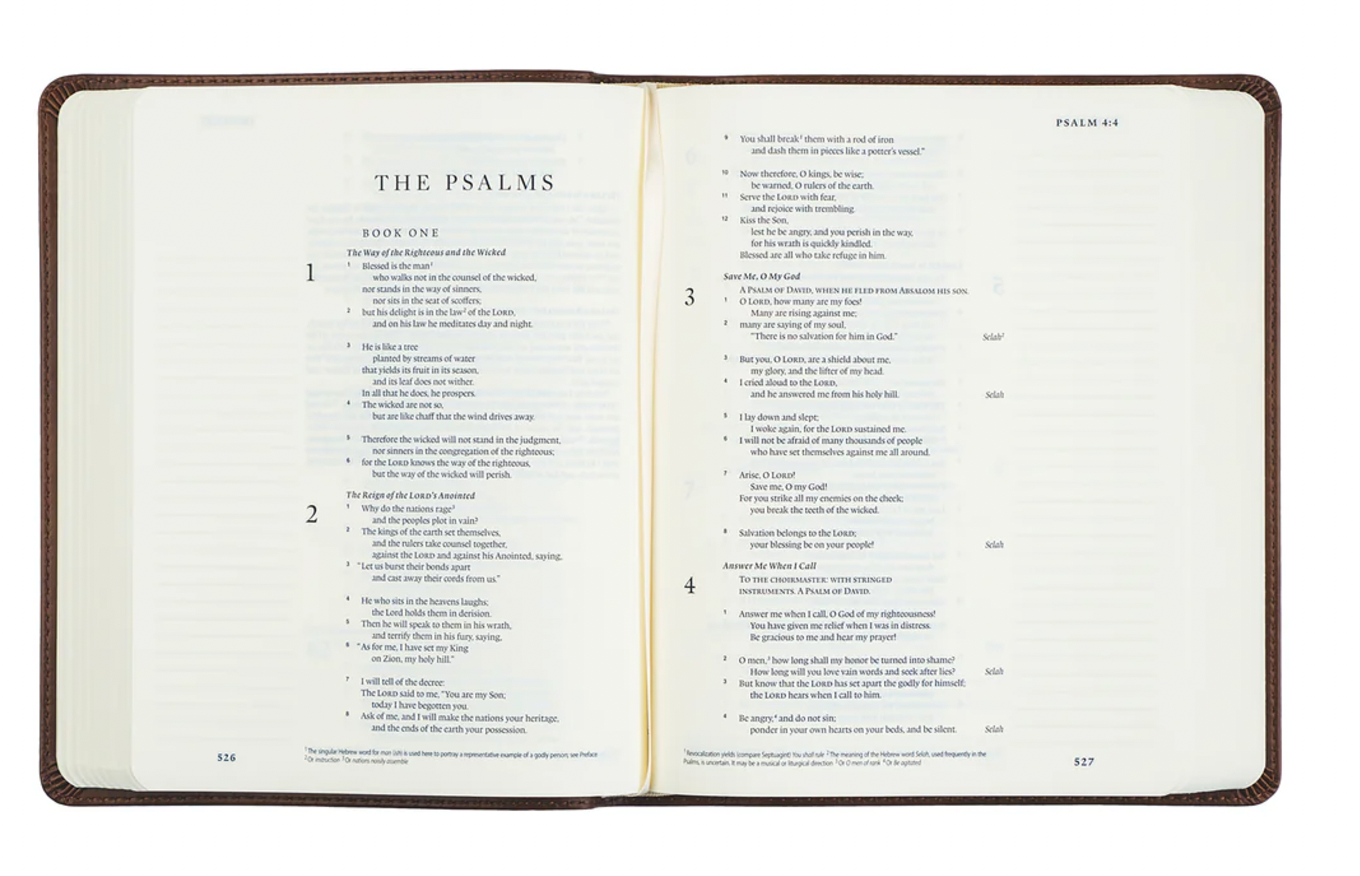 ESV Journaling Bible: Westminster Theme