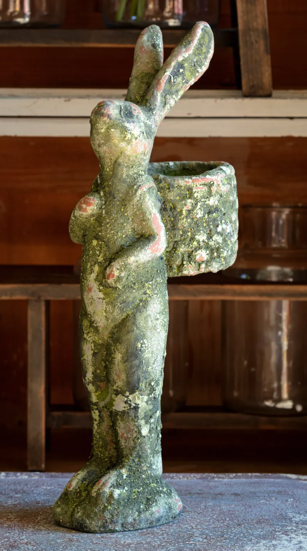 Aged Gathering Rabbit