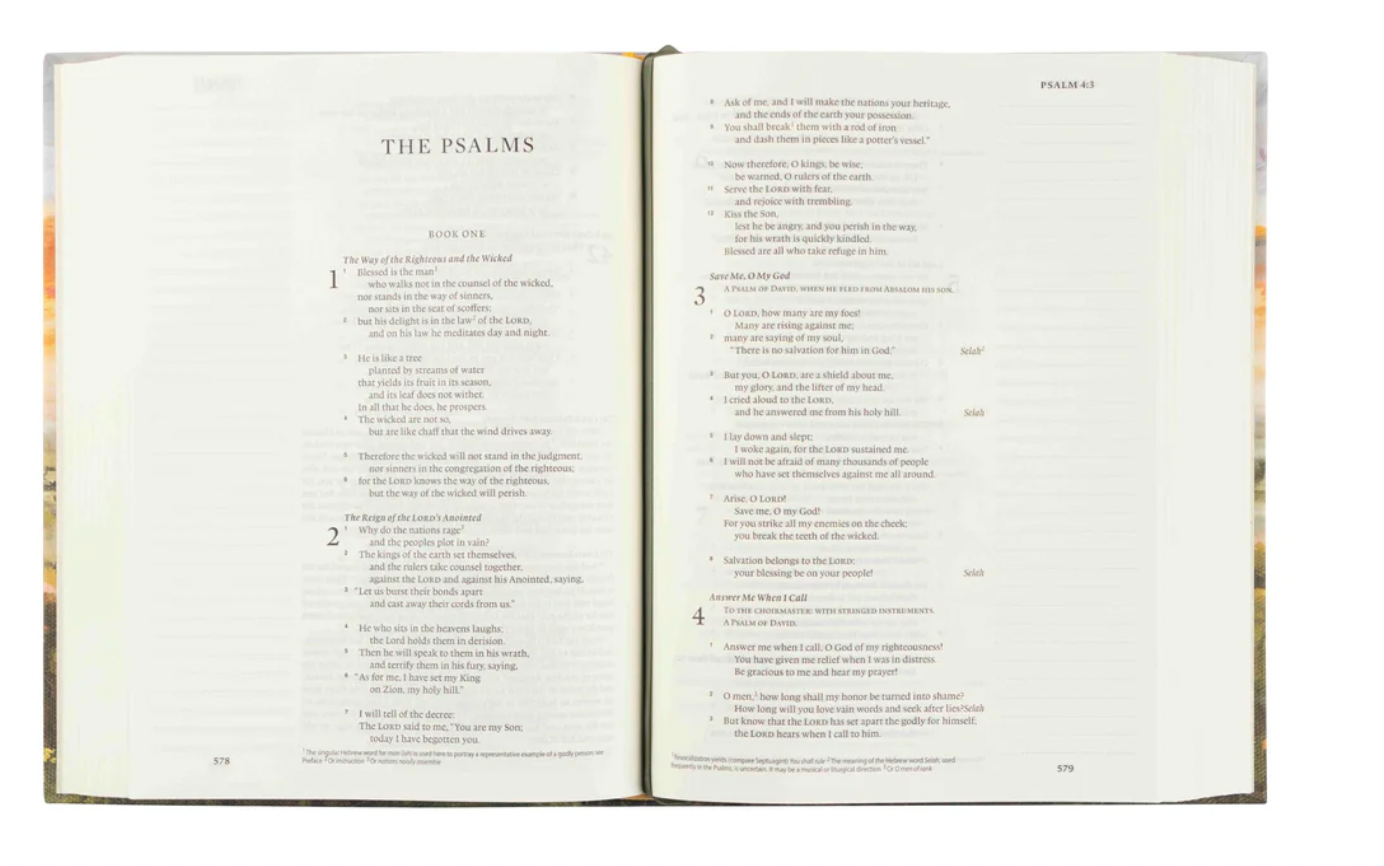 ESV Journaling Bible: Florence Theme