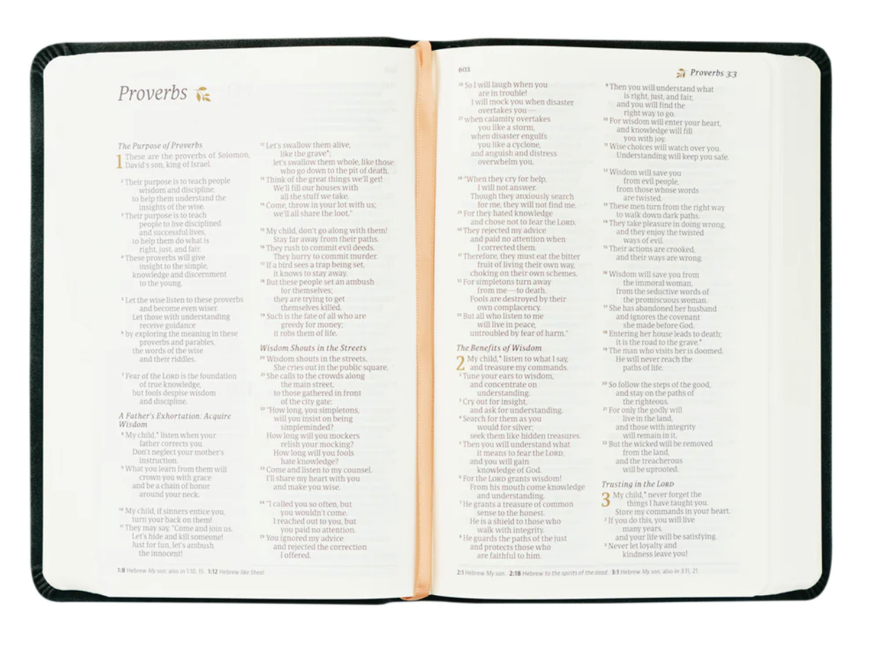 NLT Compact Bible: Jerusalem Theme