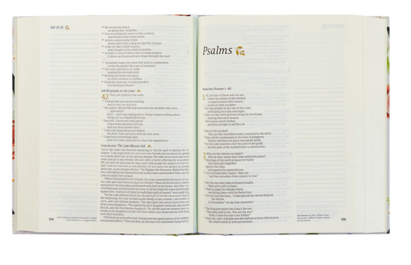 NLT Notetaking Bible : Loveland Theme
