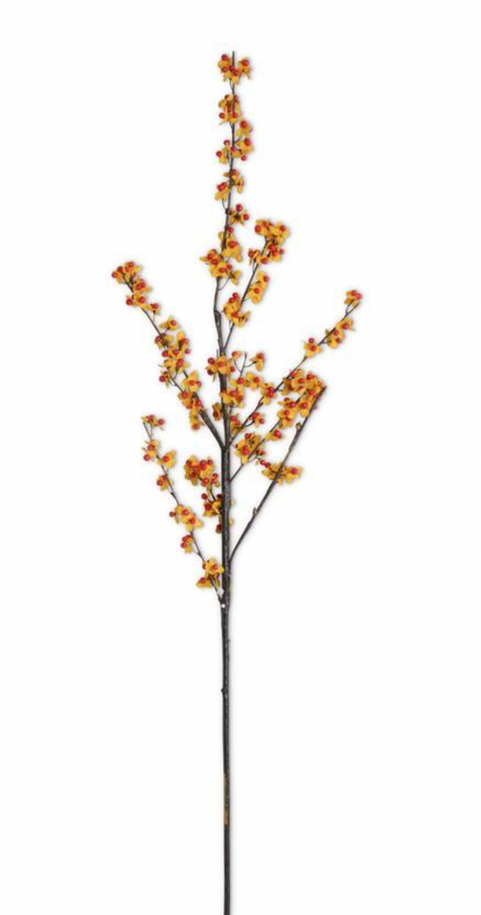 40" Orange & Yellow Bittersweet Branch