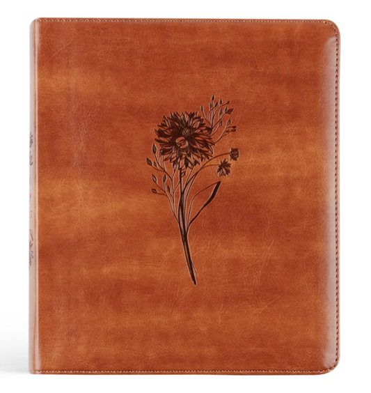 ESV Journaling Bible: Sierra Theme