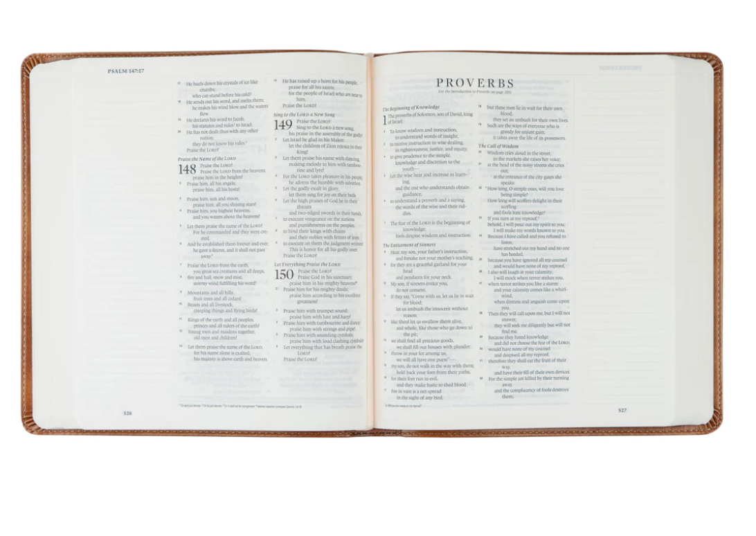 ESV Journaling Bible: Sierra Theme
