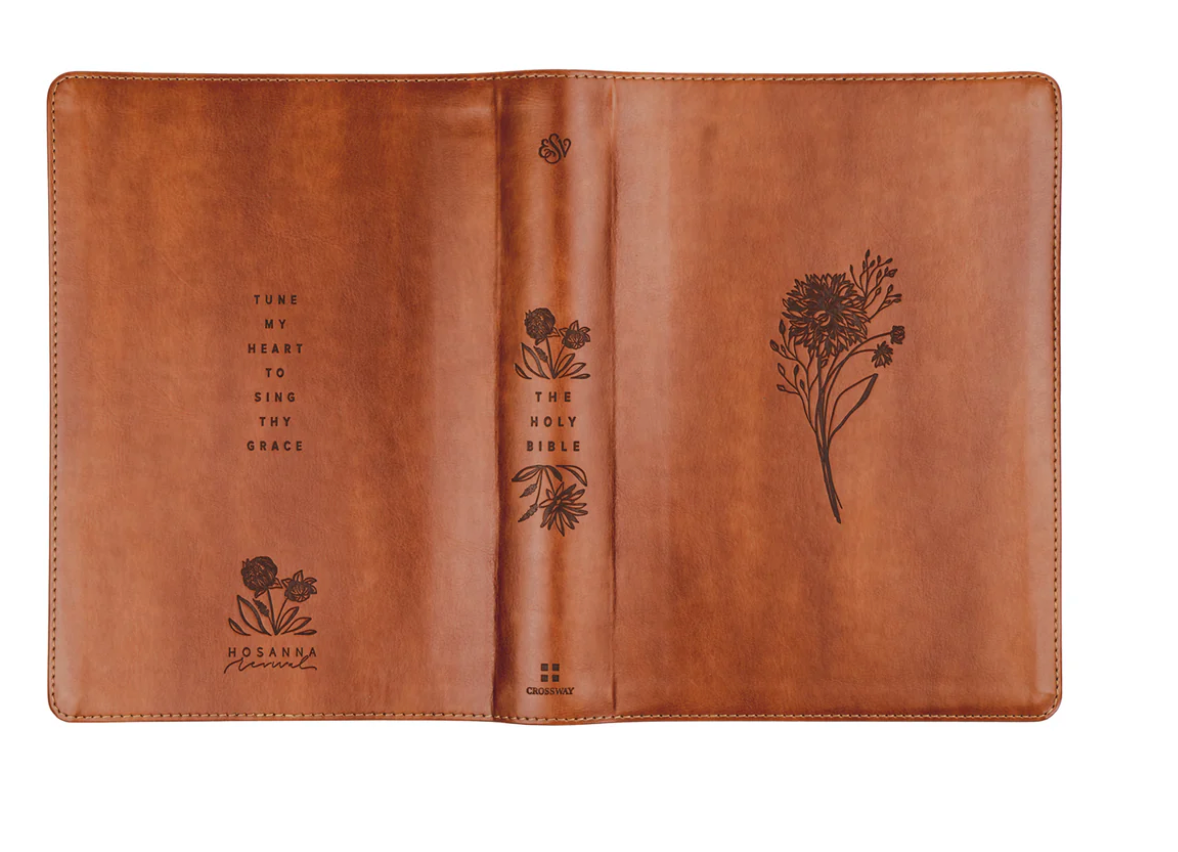 ESV Large Print Journaling Bible : Sierra Theme