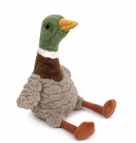 River Mallard Duck