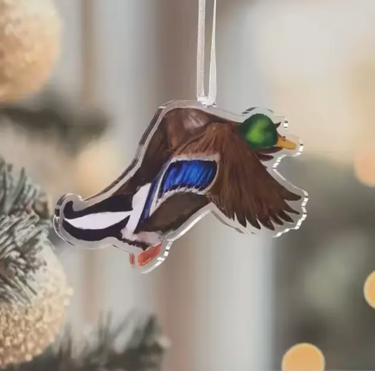 Mallard Duck Acrylic Ornament