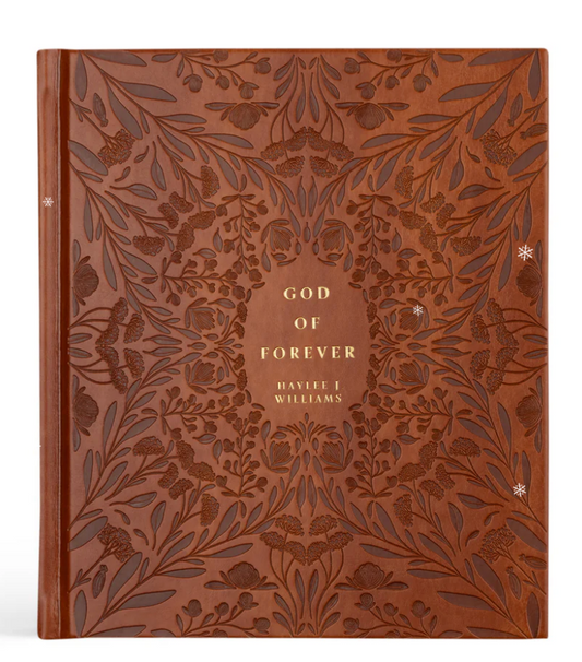 God of Forever by Haylee Williams