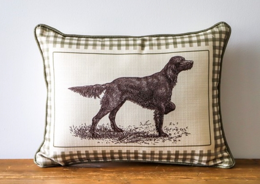 Euro Setter Illustration Pillow