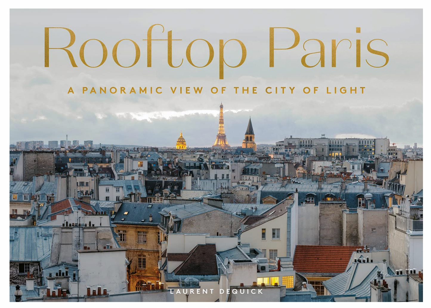 Rooftop Paris: A Panoramic View of the City of Light