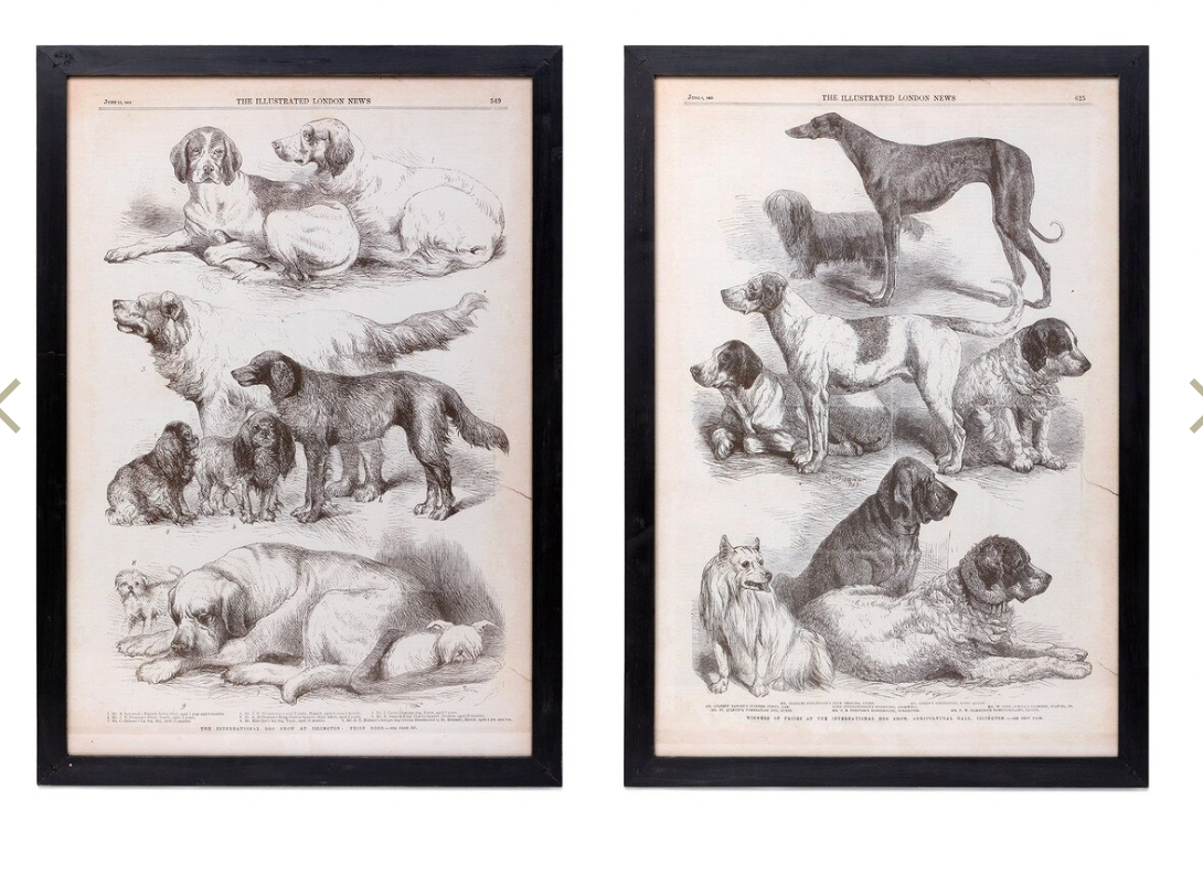 Canine Artwork