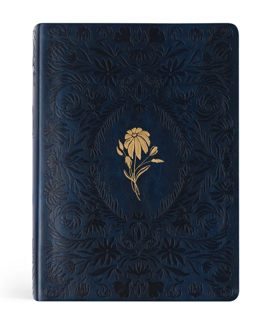 Versailles Theme: CSB Women's Study Bible