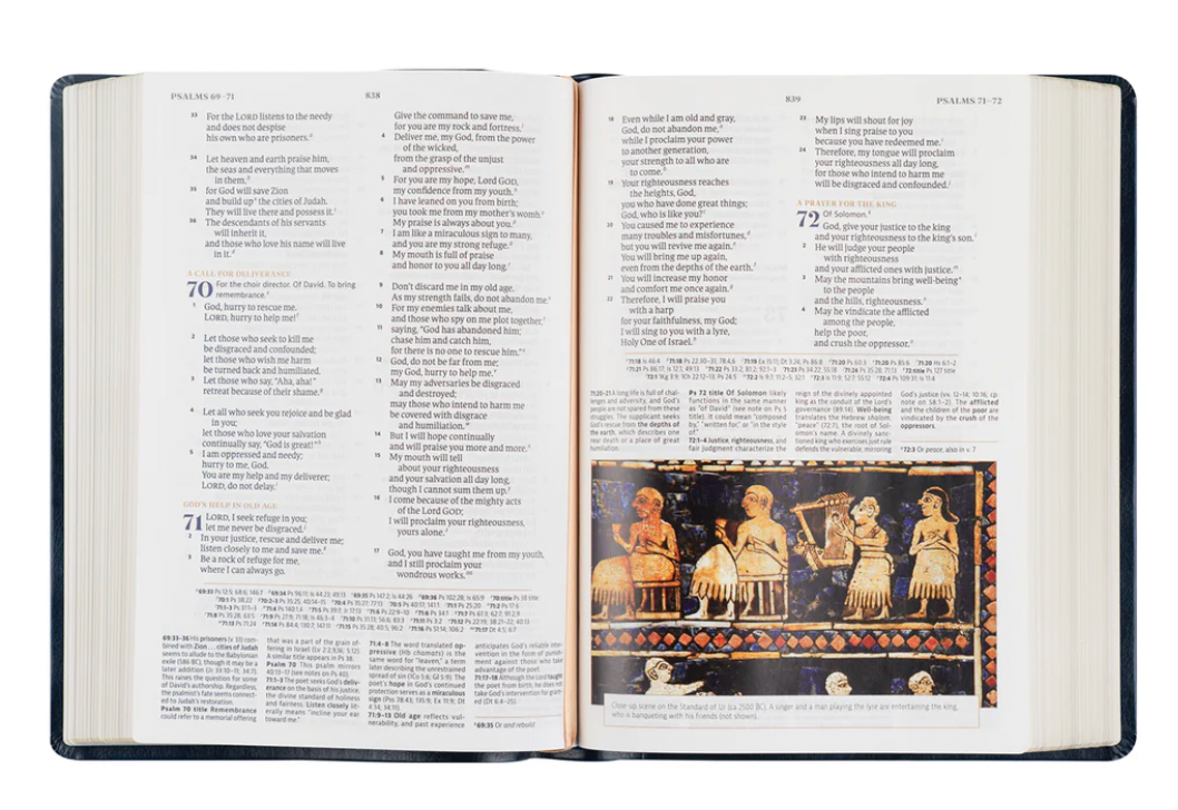Versailles Theme: CSB Women's Study Bible