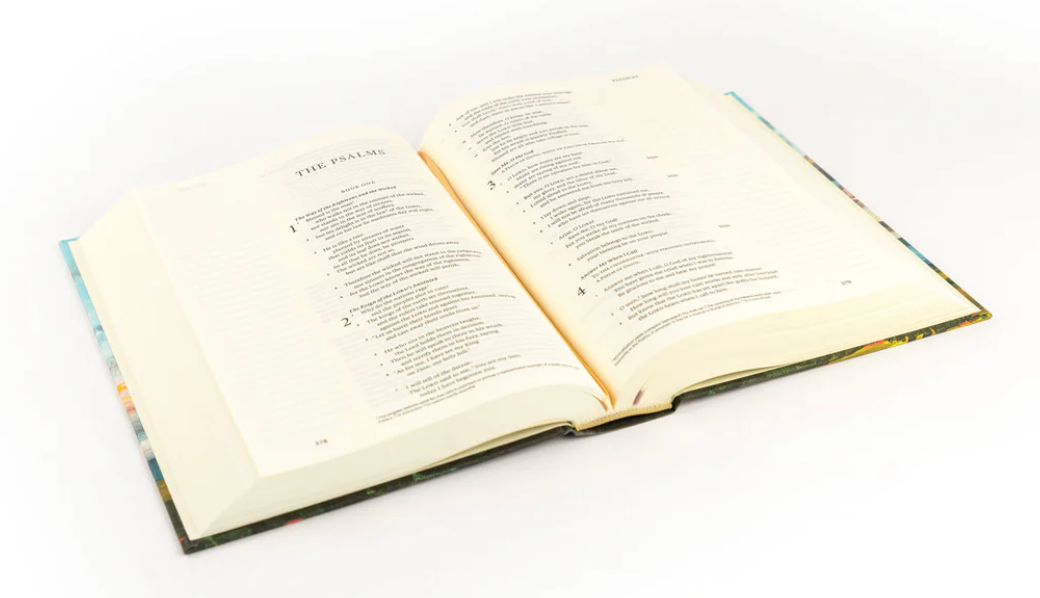 ESV Journaling Bible: Santa Lucia Theme