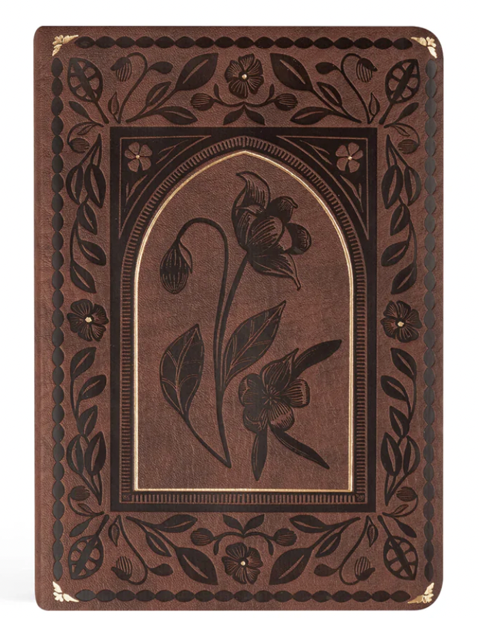 Notebook: Palma Theme